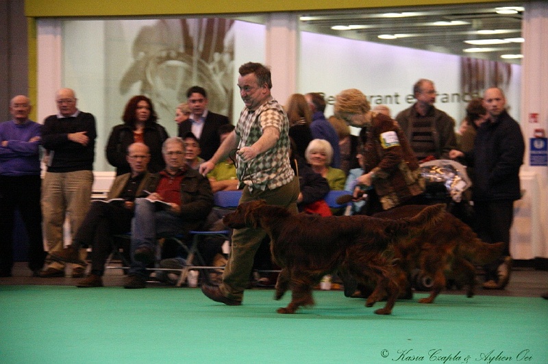 Crufts2011 819.jpg